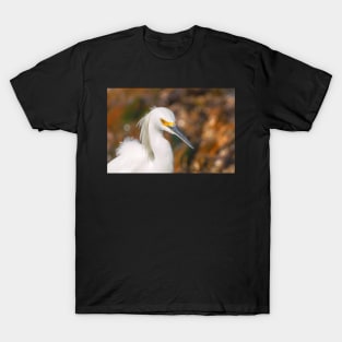 snowy egret portrait T-Shirt